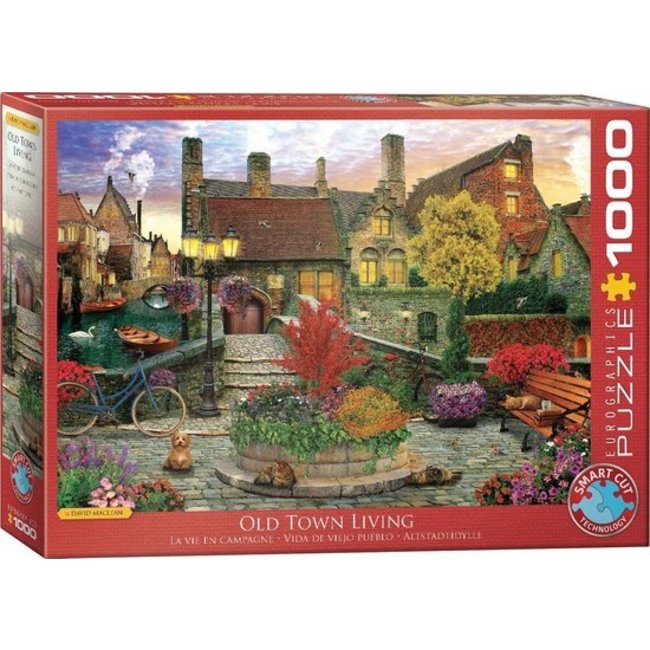 Old Town Living - Dominic Davison Puzzel 1000 Stukjes