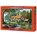 Castorland Magie Platz Puzzle Pieces 1500