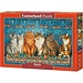 Castorland Cat Adel 500 Puzzle Pieces