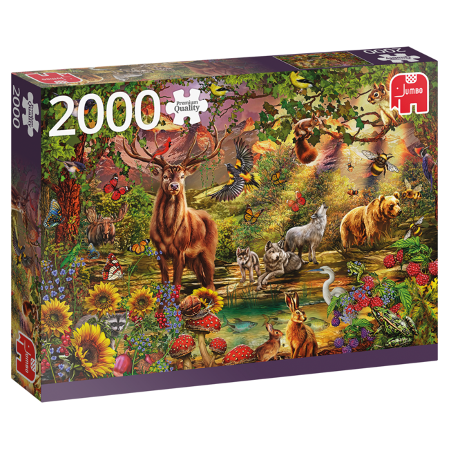Puzzle 2000 pezzi della foresta magica al tramonto