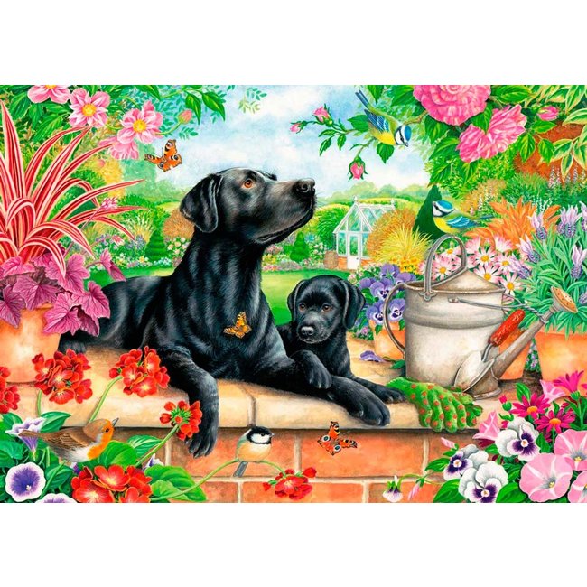 Labrador Retriever Puzzel 1000 Stukjes