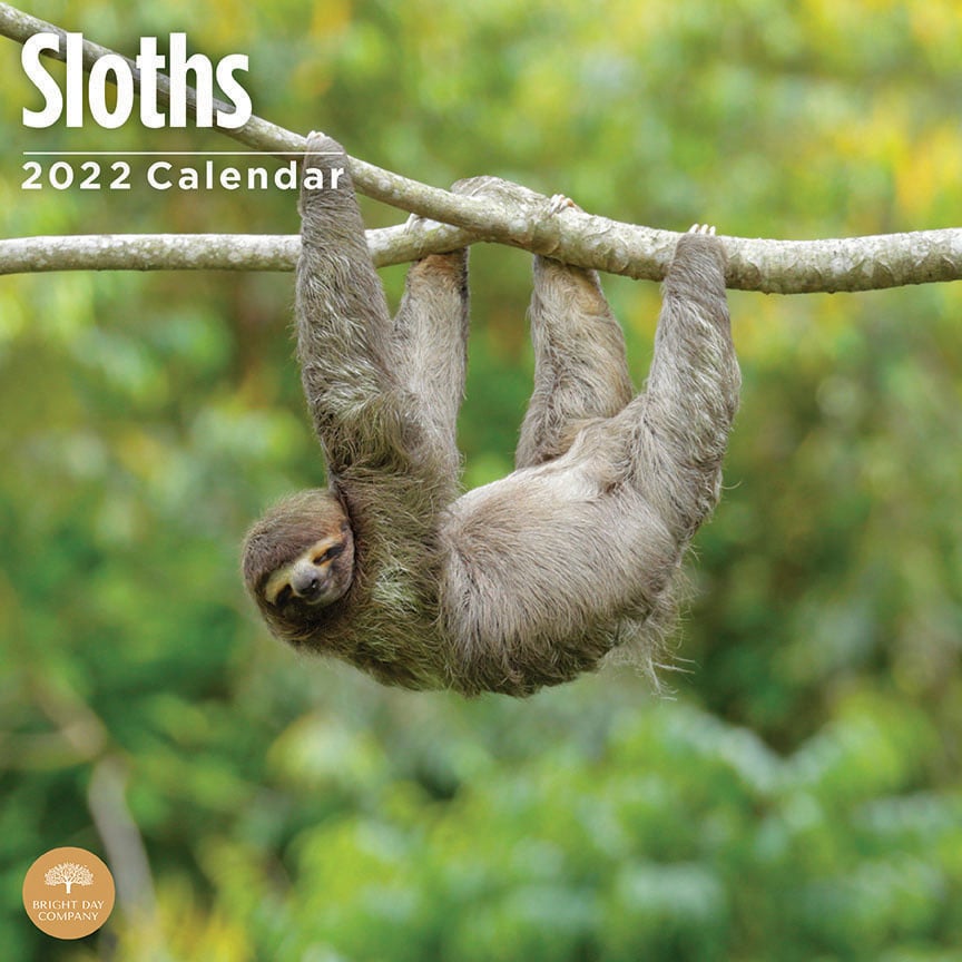 Sloth Calendar
