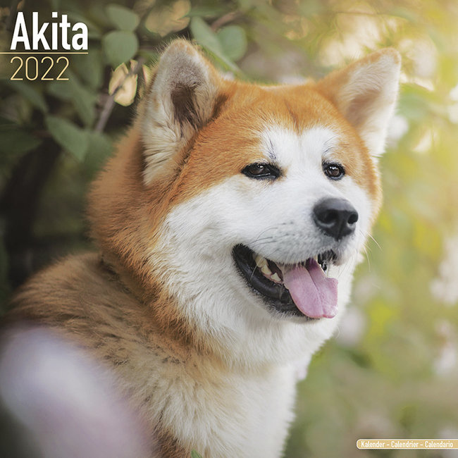 Akita Kalenders