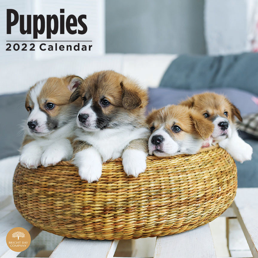 Puppies Kalenders