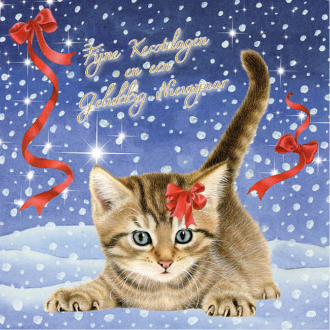 Franciens Katten Kerstkaarten Kopen? Kalenderwinkel.nl