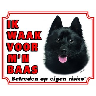 Stickerkoning Schipperke Watchword - I am watching out for my boss