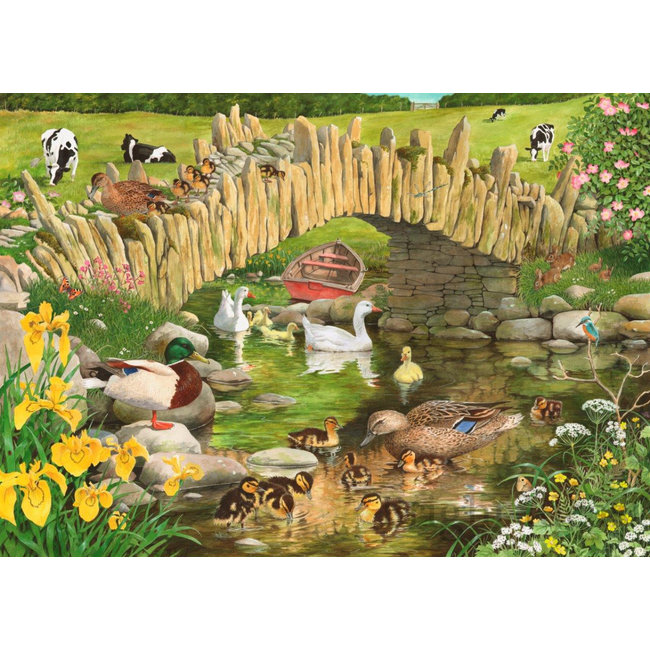 The House of Puzzles Pato Pato Ganso Puzzle 250 Piezas XL