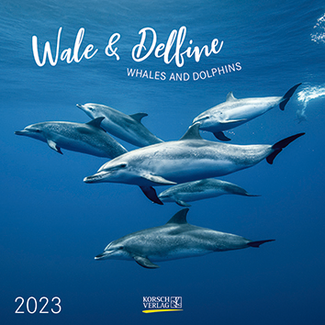 Korsch Verlag Walvissen en Dolfijnen Kalender 2023