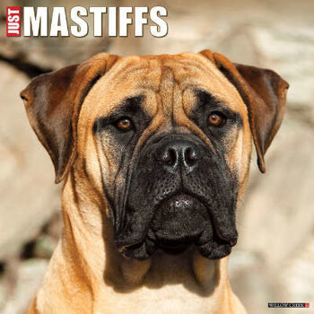 Engelse Mastiff Kalenders