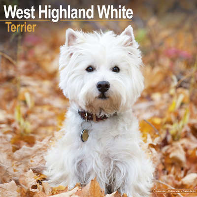 West Highland White Terrier Calendars