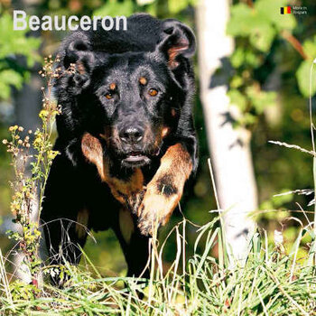 Calendriers Beauceron