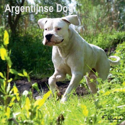 Calendari del cane argentino 2025