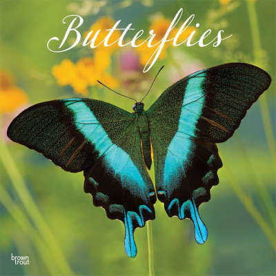 Butterfly calendar