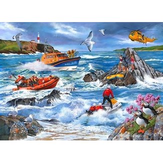 The House of Puzzles Against the Tide Puzzle 1000 Pieces