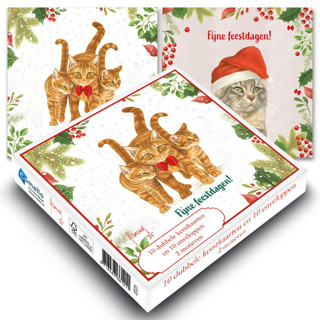 I biglietti di Natale dei gatti di Francien