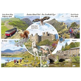 Otterhouse Puzzle del Parco Nazionale di Snowdonia 1000 pezzi