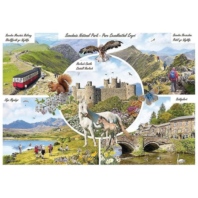 Otterhouse Parc national de Snowdonia Puzzle 1000 pièces