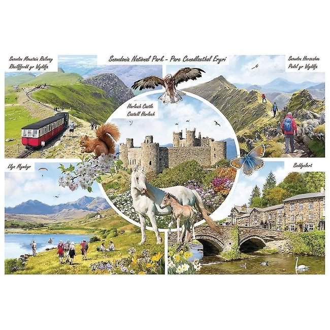 Puzzle del Parco Nazionale di Snowdonia 1000 pezzi
