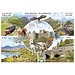 Otterhouse Parque Nacional de Snowdonia Puzzle 1000 piezas