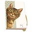 Bekking & Blitz Cahier des chats de Francien A6