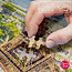 View about Paris Eiffel Tower Puzzle 1000 Pieces