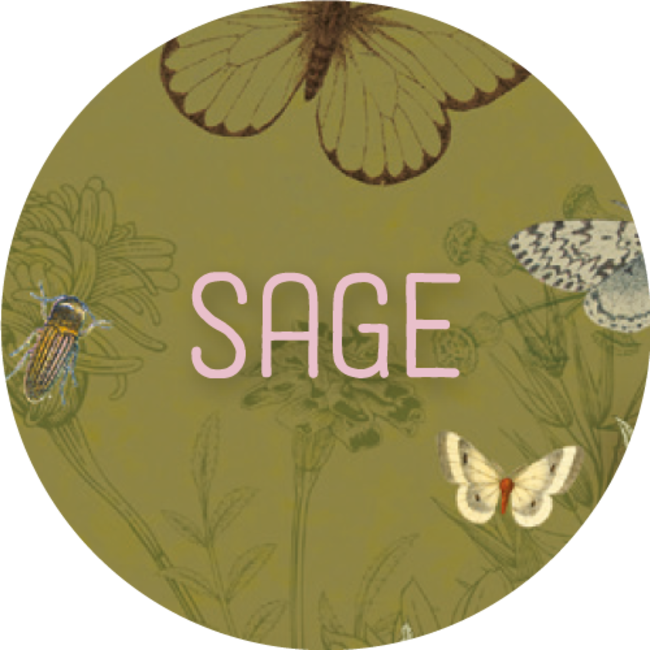 Carpeta de anillas azul - Sage