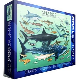 Eurographics Haaien - Sharks Puzzel 1000 Stukjes