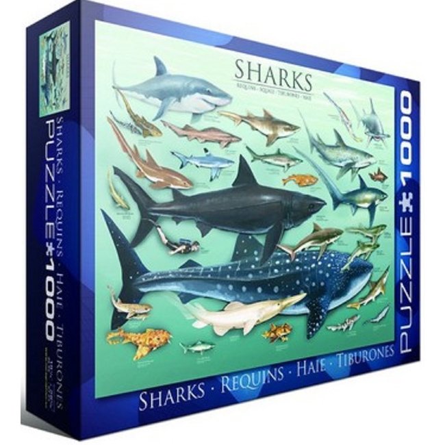 Eurographics Tiburones - Puzzle Tiburones 1000 piezas