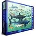 Eurographics Sharks - Sharks Puzzle 1000 Pieces