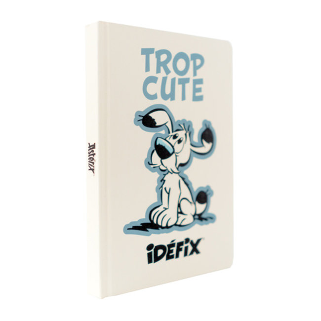 Cuaderno A5 Astérix Idefix