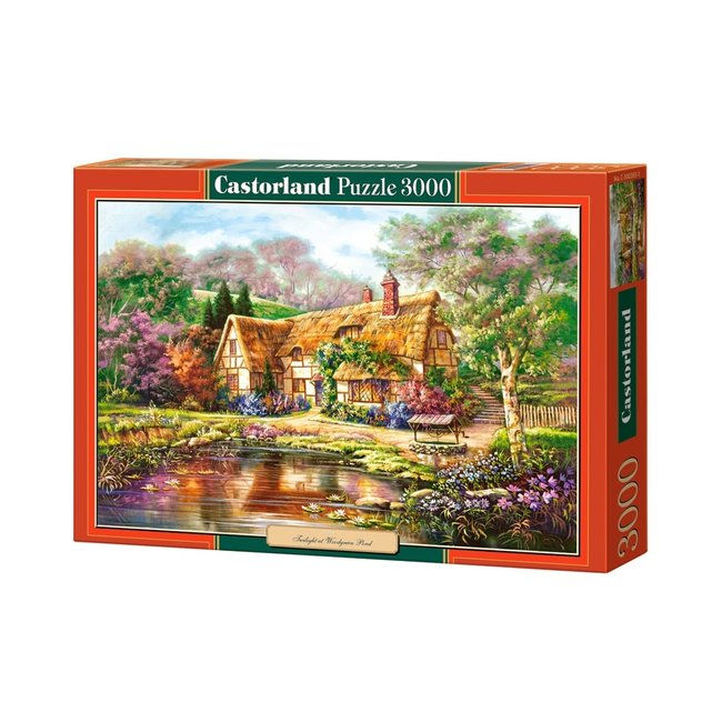 Puzzle 3000 pezzi Twilight at Woodgreen Pond