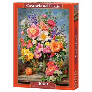 Castorland Puzzle 1000 Piezas Flores de Junio en Resplandor