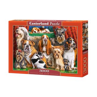 Castorland Puzzle Dog Club 3000 Piezas