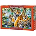 Castorland Tigres junto al arroyo Puzzle 1000 piezas
