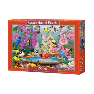 Castorland Puzzle "Rythme de la nature" 2000 pièces