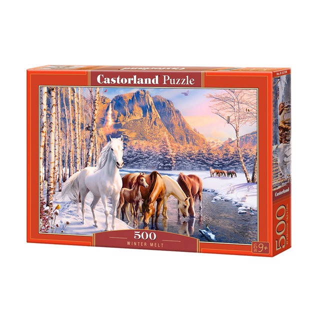 Castorland Puzzle di scioglimento invernale 500 pezzi