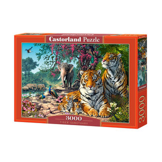 Castorland Le sanctuaire des tigres Puzzle 3000 pièces
