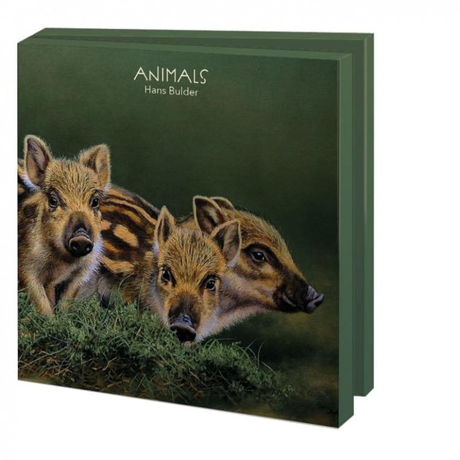Kaartenmapje Animals, Hans Bulder 10 Stuks met Enveloppen