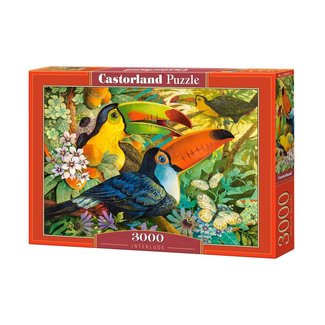 Castorland David Galchutt: Puzzle Interludio 3000 pezzi