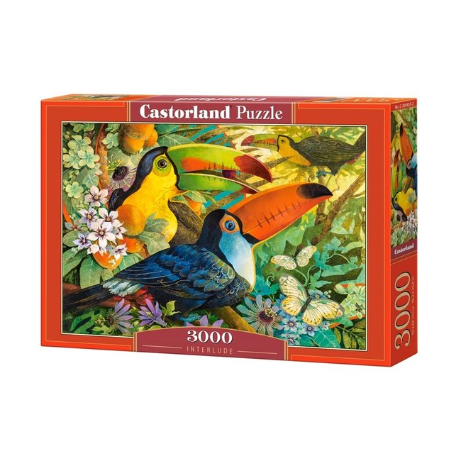 Castorland David Galchutt: Interludio Puzzle 3000 piezas