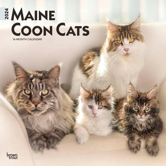 Browntrout Maine Coon Calendar 2024