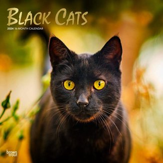 Browntrout Calendrier des chats noirs 2025