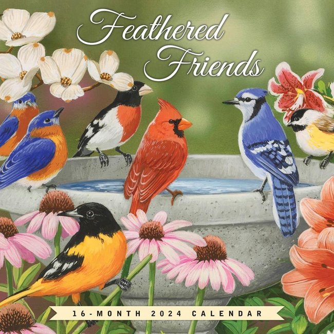 Feathered Friends Calendar 2024