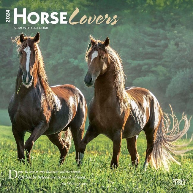 Browntrout Horse Lovers Kalender 2024