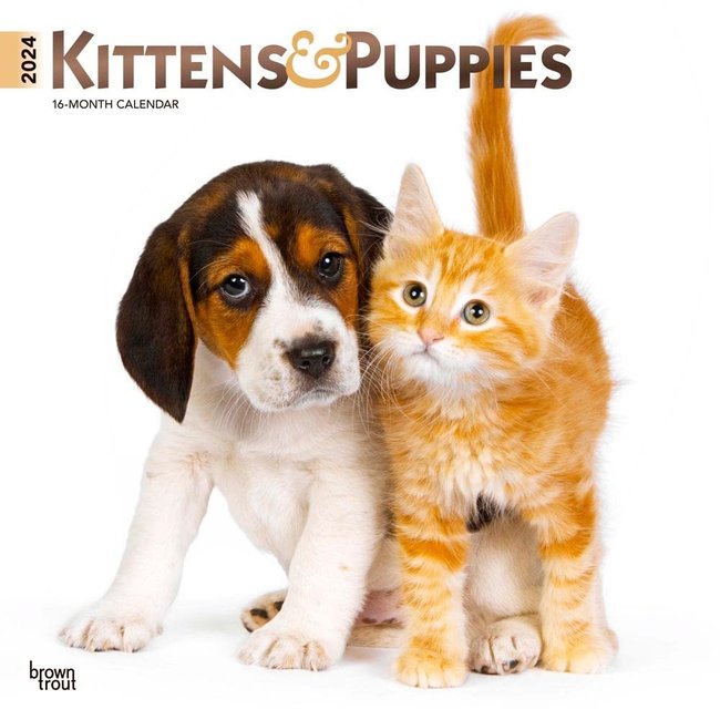 Browntrout Kittens and Puppies Calendar 2025