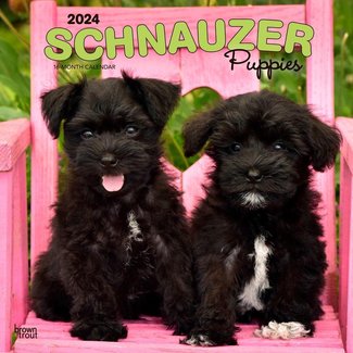 Browntrout Calendario Cachorros Schnauzer 2025