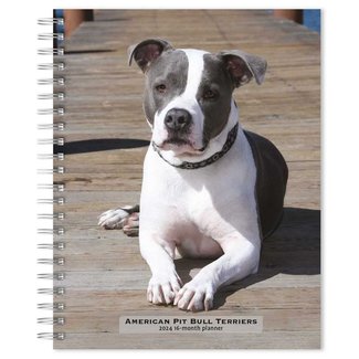 Browntrout American Pit Bull Terrier Agenda 2024