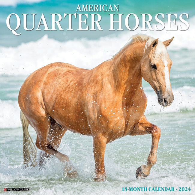 American Quarter Horse Kalender 2024