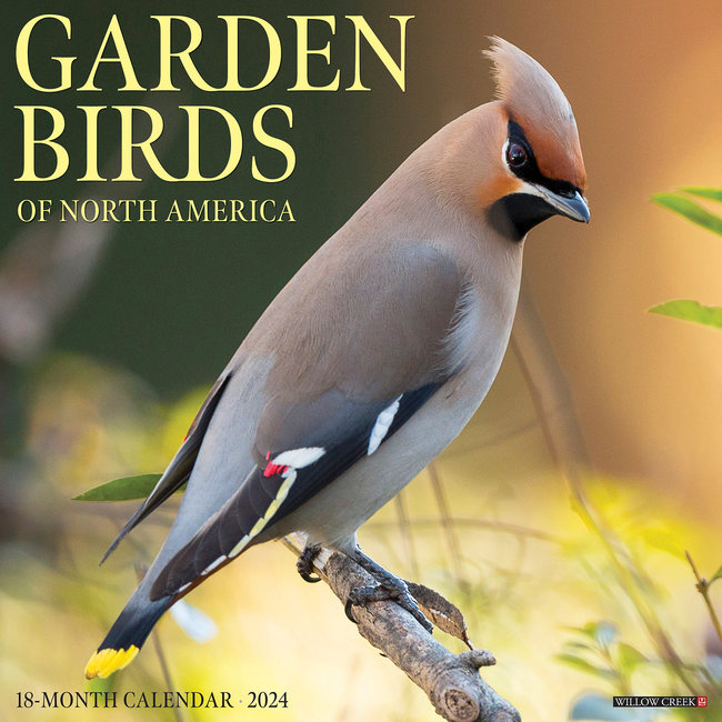 Willow Creek Garden Birds Calendar 2024