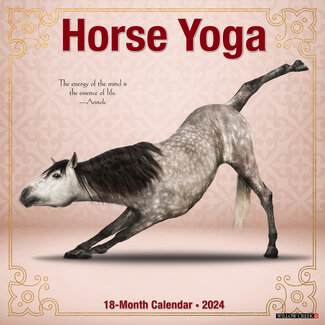 Willow Creek Horse Yoga Kalender 2024